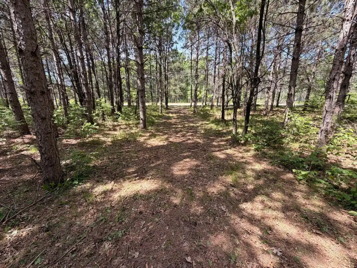 Homes for sale in Nekoosa, WI | 000 Apache Avenue Avenue, Nekoosa, WI 54457 | MLS# 2025205