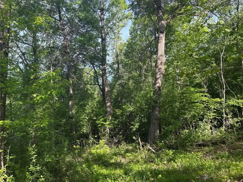 2nd image of 0 23 1/2 Street Street, Rice Lake, WI 54868 | MLS# 1602010