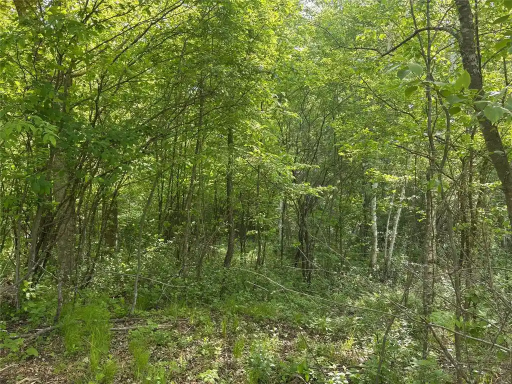 3rd image of 0 23 1/2 Street Street, Rice Lake, WI 54868 | MLS# 1602010