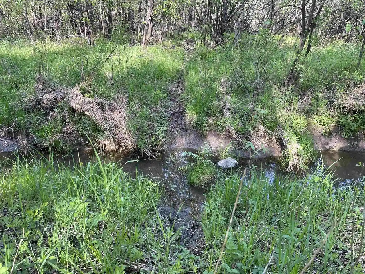 Photo 2 of Land for sale at WI | 10773 County Road K,WI 54412 | MLS# 22602569 | Listing updated on 2026-09-09