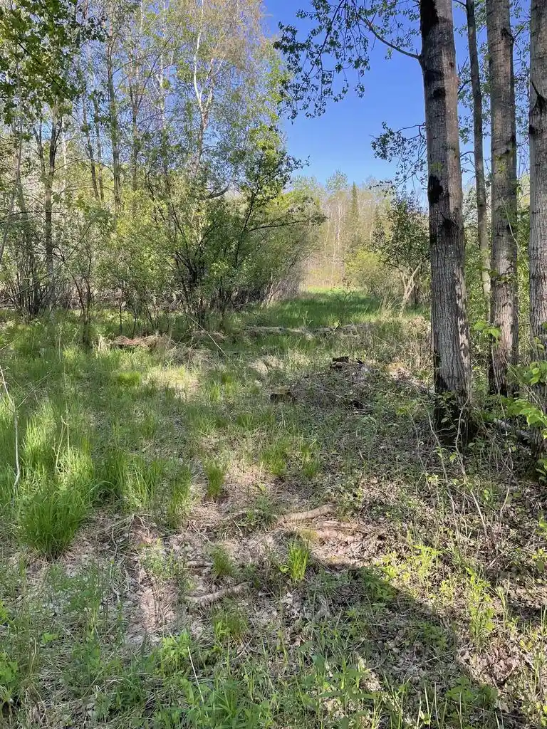 Photo 3 of Land for sale at WI | 10773 County Road K,WI 54412 | MLS# 22602569 | Listing updated on 2026-09-09