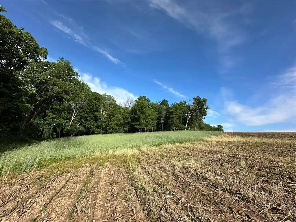 Homes for sale in Plum City, WI | W325 50Th Avenue Avenue, Plum City, WI 54761 | MLS# 1602013