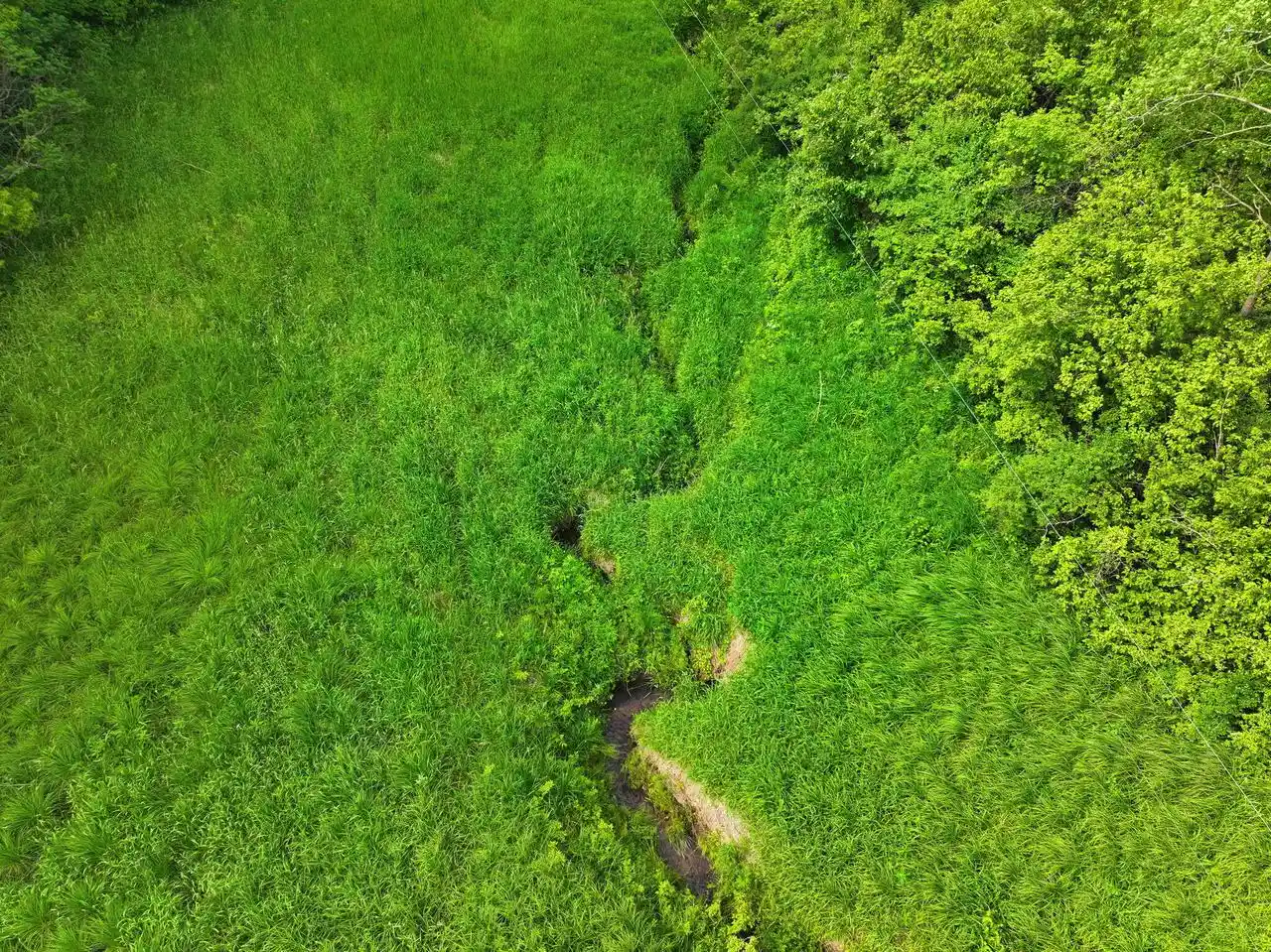 2nd image of 0 County Road W, Holmen, WI 54636 | MLS# 1966090