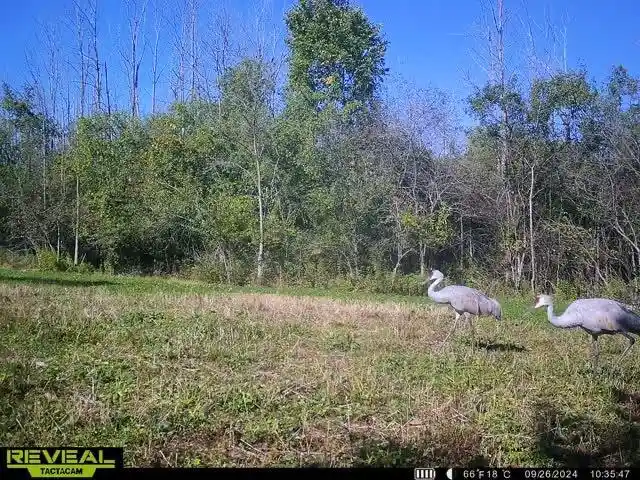 Photo 3 of Land for sale at Lt13 Kara Lane Lane, Grafton, WI 53024 | MLS# 1966152 | Listing updated on 2026-09-08