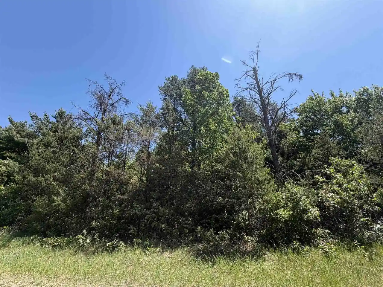 Homes for sale in Wisconsin Dells, WI | 5+ Acre 8Th Avenue Avenue, Wisconsin Dells, WI 53965 | MLS# 2025285