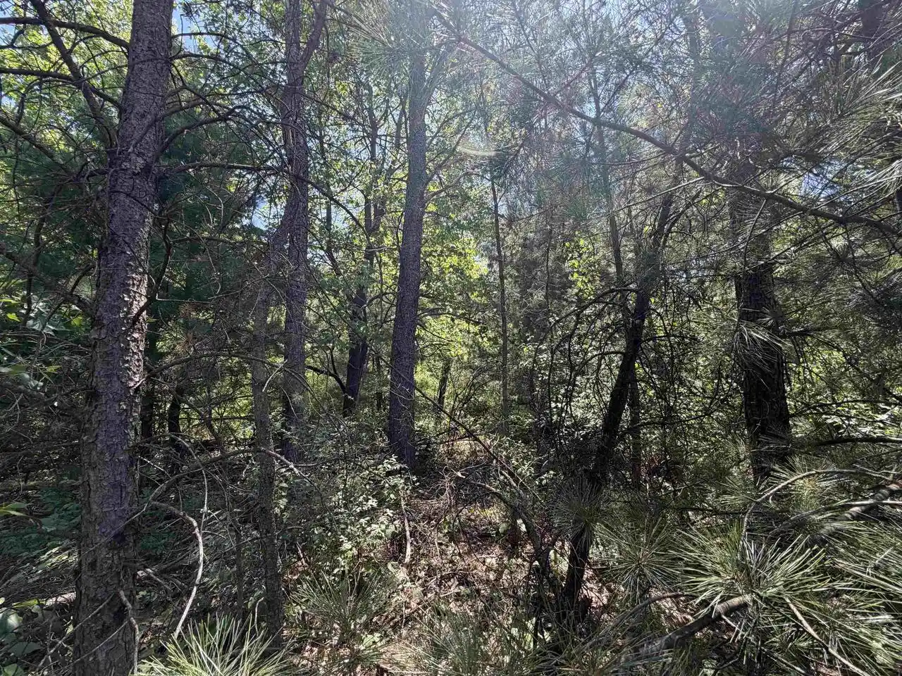 Homes for sale in Wisconsin Dells, WI | 5+ Acre 8Th Avenue Avenue, Wisconsin Dells, WI 53965 | MLS# 2025285