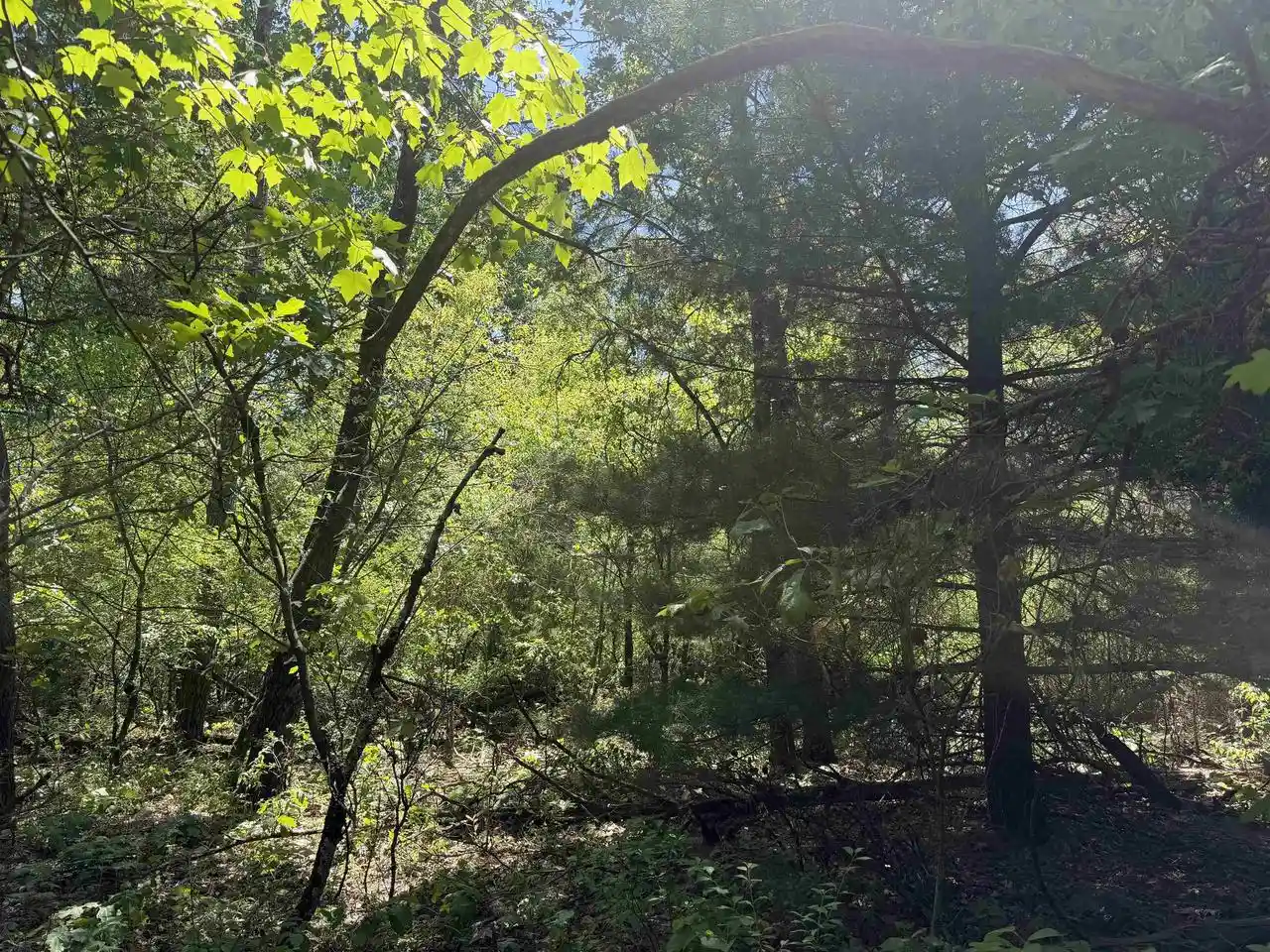 Homes for sale in Wisconsin Dells, WI | 5+ Acre 8th Avenue Avenue, Wisconsin Dells, WI 53965 | MLS# 2025285