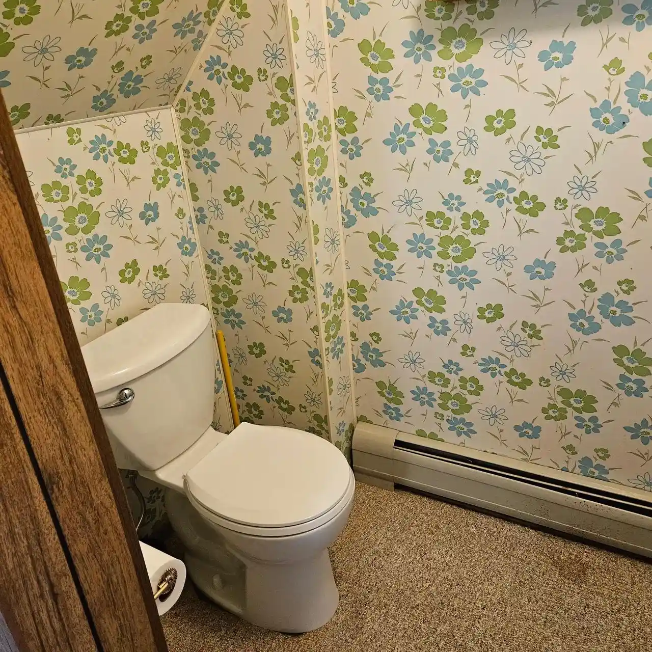 Photo 4 of Single family home for sale at 224 N Madison Street Street, Coloma, WI 54930 | MLS# 2025294 | Listing updated on 2026-09-17