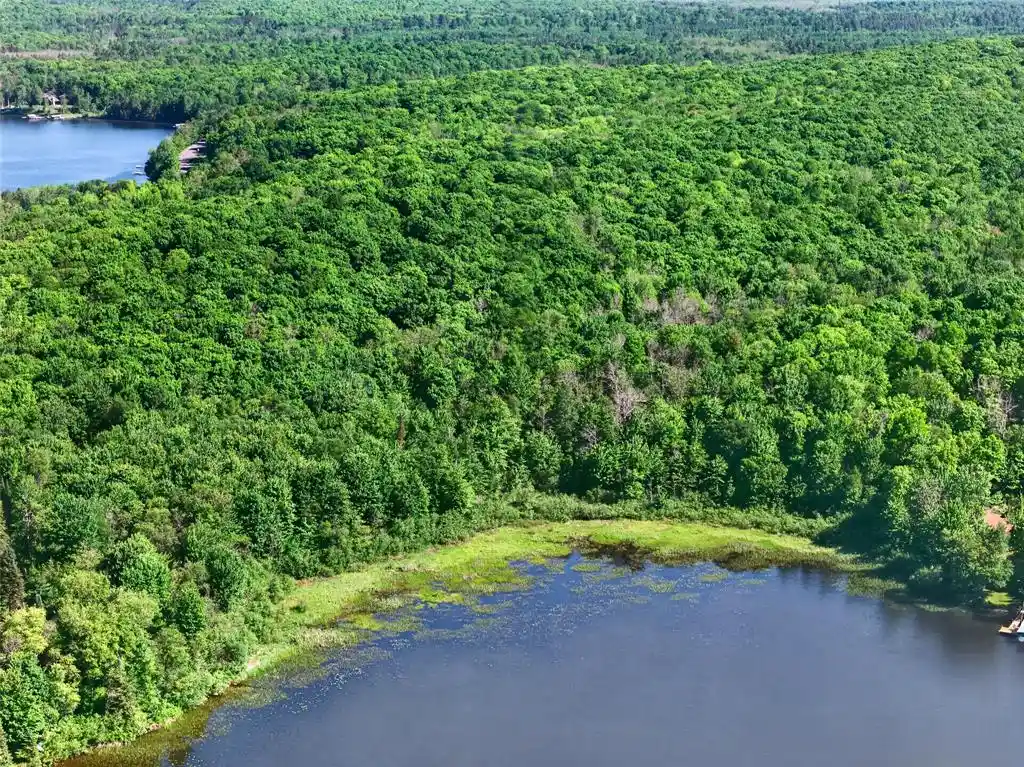 Photo 2 of Land for sale at 7 Acres Blue Gill Bay Road Road, Cable, WI 54821 | MLS# 1601982 | Listing updated on 2026-07-08