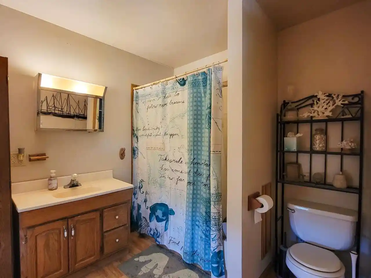 Homes for sale in Iola, WI | 390 Water Street Street, Iola, WI 54945 | MLS# 50326949