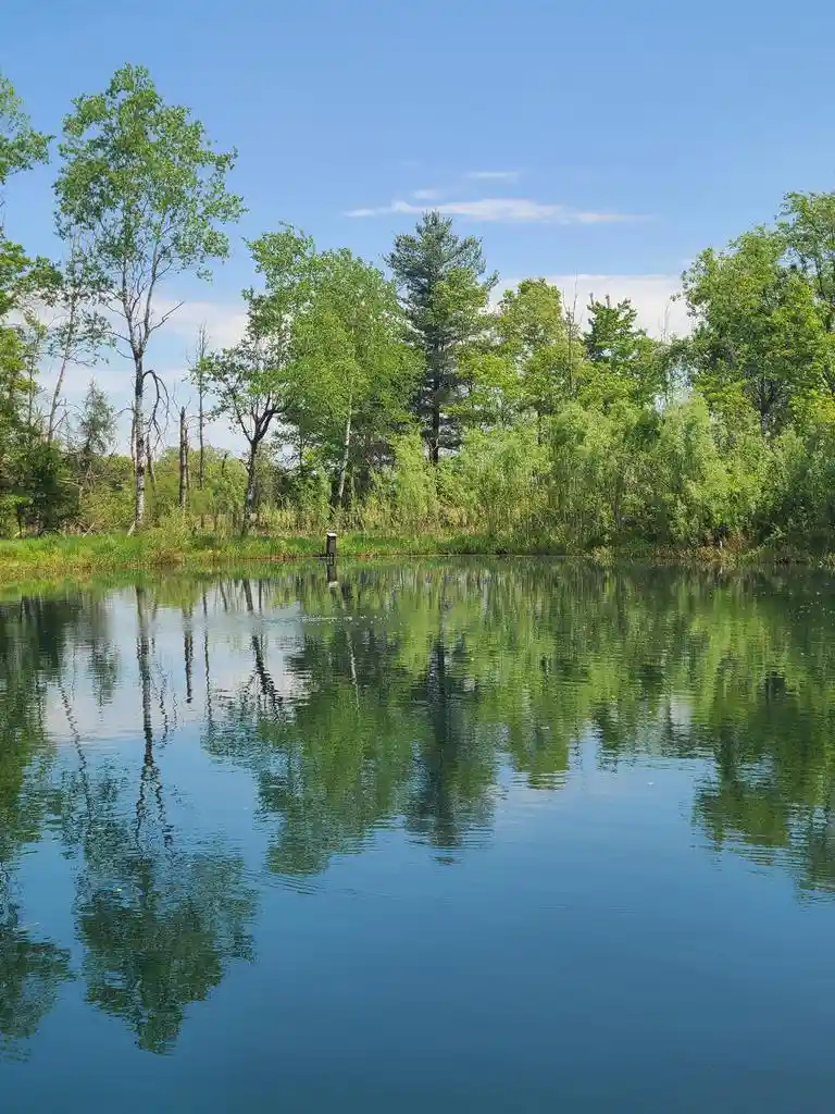 Homes for sale in Neshkoro, WI | County Rd E, Neshkoro, WI 54960 | MLS# 50326974