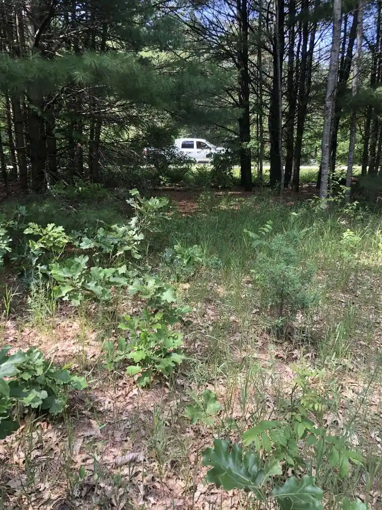 Photo 4 of Land for sale at County Rd E, Neshkoro, WI 54960 | MLS# 50326974 | Listing updated on 2026-09-08
