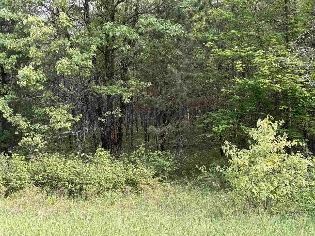 Photo 1 of Land for sale at W1926 Great Bear Road Road, Keshena, WI 54135 | MLS# 50326978 | Listing updated on 2026-06-08