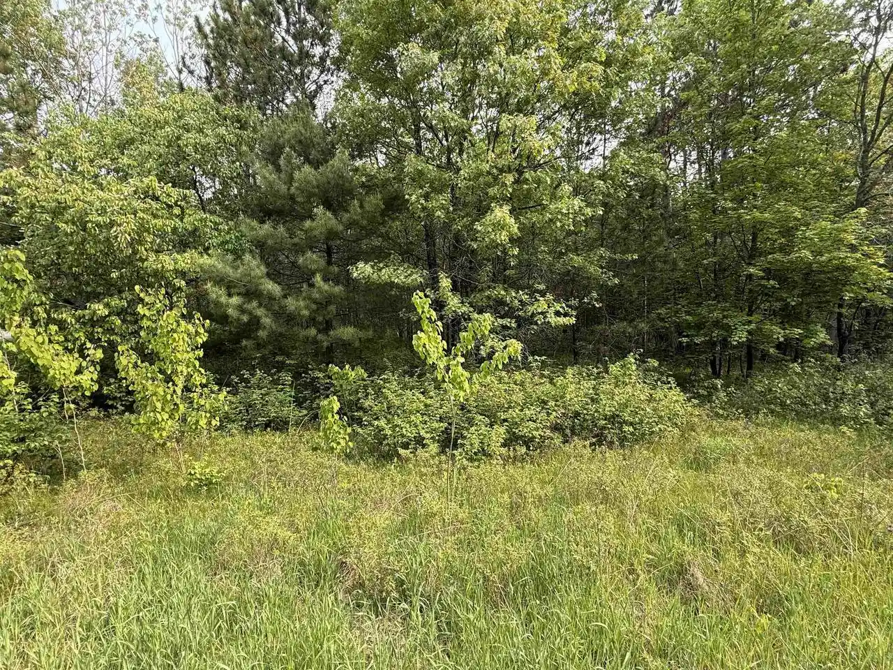 Photo 2 of Land for sale at W1926 Great Bear Road Road, Keshena, WI 54135 | MLS# 50326978 | Listing updated on 2026-06-08