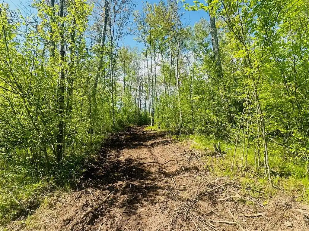 Homes for sale in Ojibwa, WI | Lot 40 Horse Creek Trail, Ojibwa, WI 54862 | MLS# 1601677