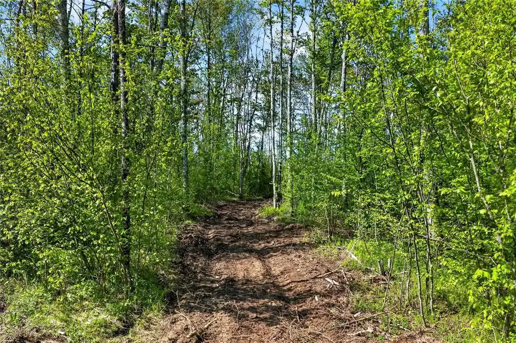 Homes for sale in Ojibwa, WI | Lot 41 Horse Creek Trail, Ojibwa, WI 54862 | MLS# 1601676