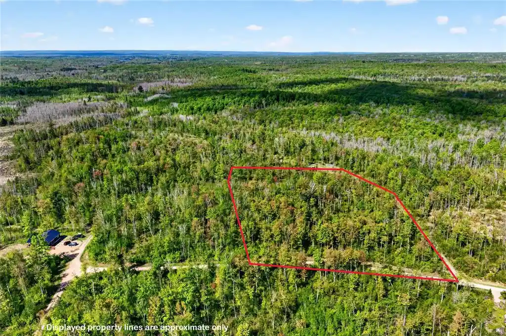 Homes for sale in Ojibwa, WI | Lot 41 Horse Creek Trail, Ojibwa, WI 54862 | MLS# 1601676