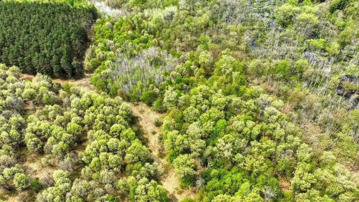 1st image of Lot 14 W 6th Dr Dr, Hancock, WI 54943 | MLS# 2025311