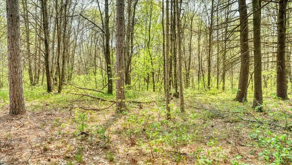 36th image of Lot 14 W 6th Dr Dr, Hancock, WI 54943 | MLS# 2025311