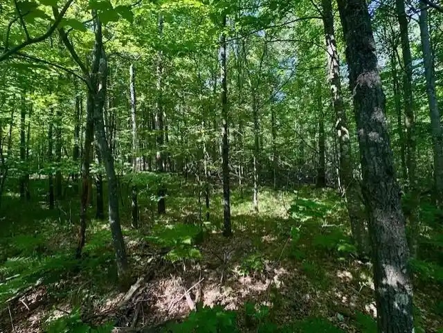 Homes for sale in Willard, WI | N8823 Dickerson Avenue Avenue, Willard, WI 54493 | MLS# 22602583