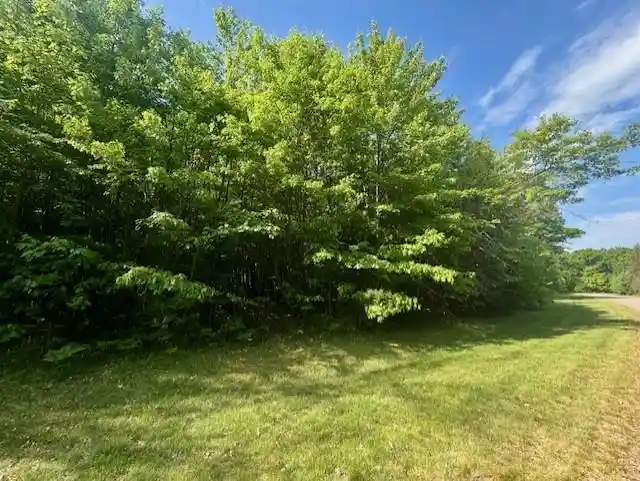 Homes for sale in Willard, WI | N8823 Dickerson Avenue Avenue, Willard, WI 54493 | MLS# 22602583