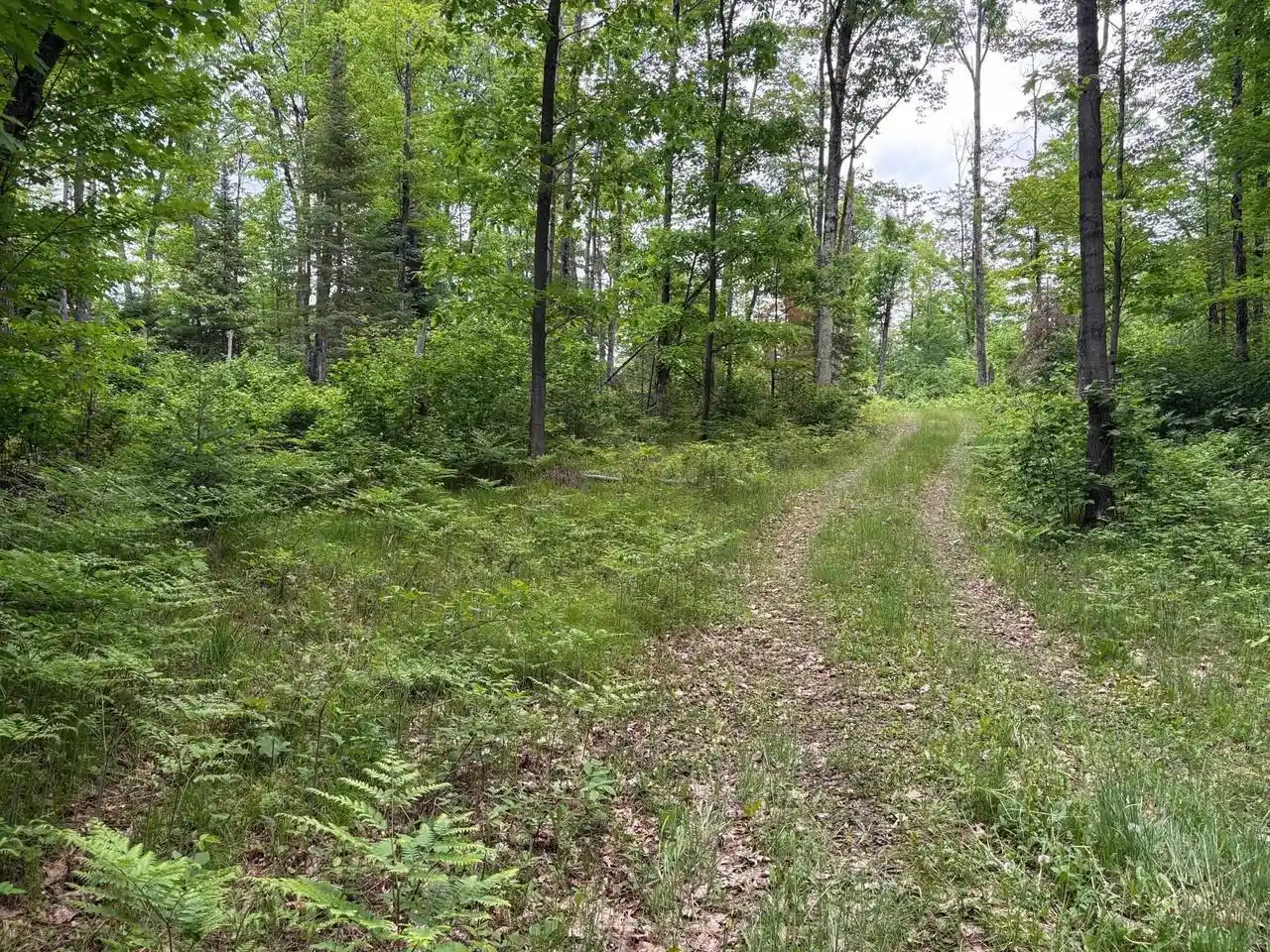Homes for sale in Goodman, WI | W15816 Fawn Acres Road Road, Goodman, WI 54125 | MLS# 50327007