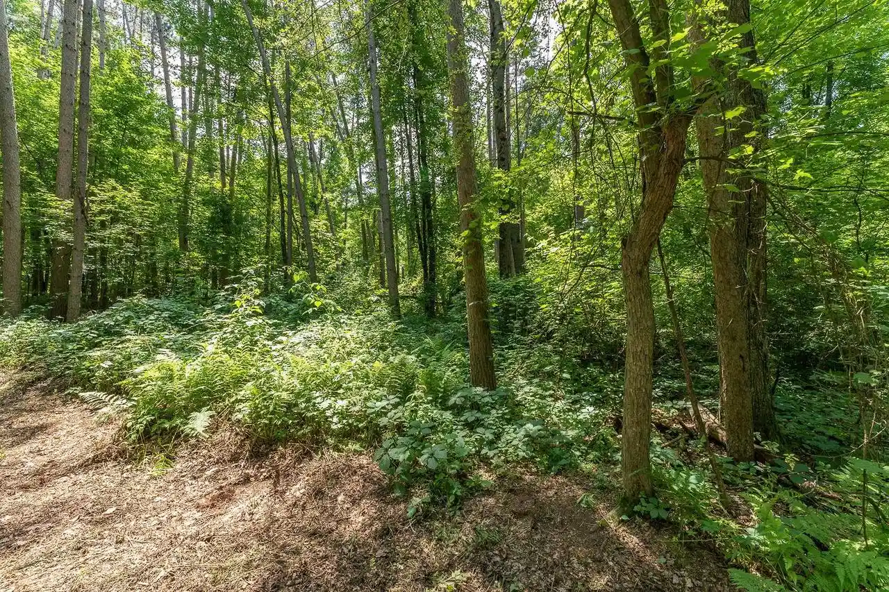 3rd image of 444 Acres Trout Road Road, Wisconsin Dells, WI 53965 | MLS# 2025328
