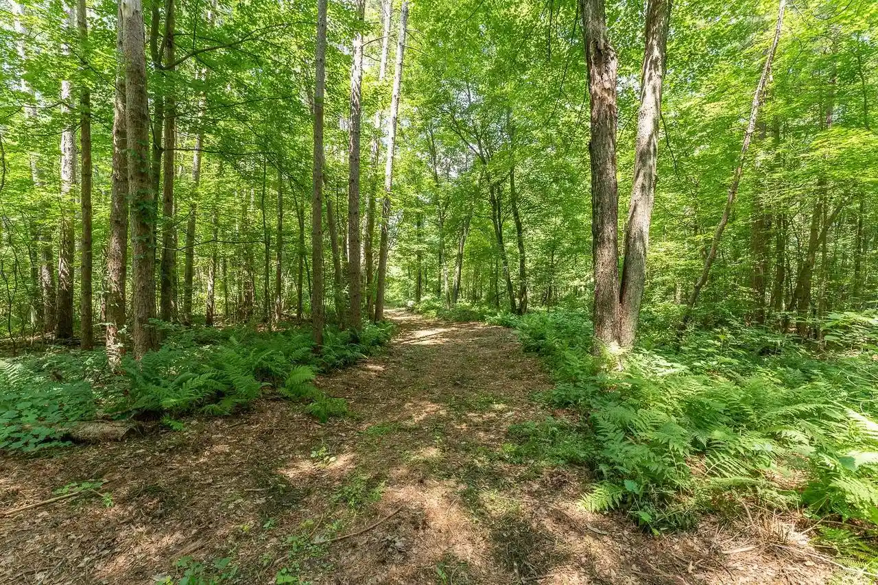 4th image of 444 Acres Trout Road Road, Wisconsin Dells, WI 53965 | MLS# 2025328
