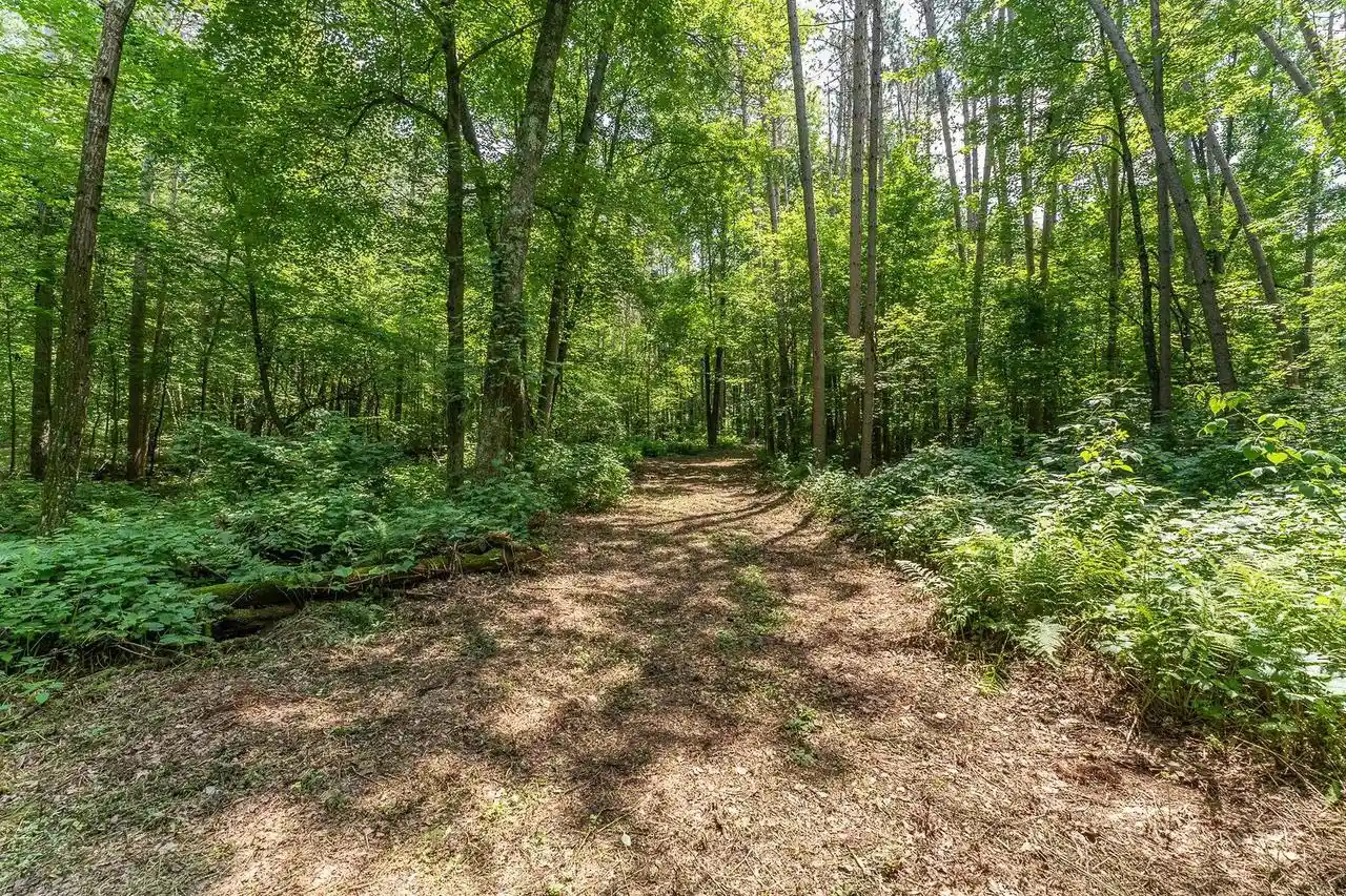 5th image of 444 Acres Trout Road Road, Wisconsin Dells, WI 53965 | MLS# 2025328