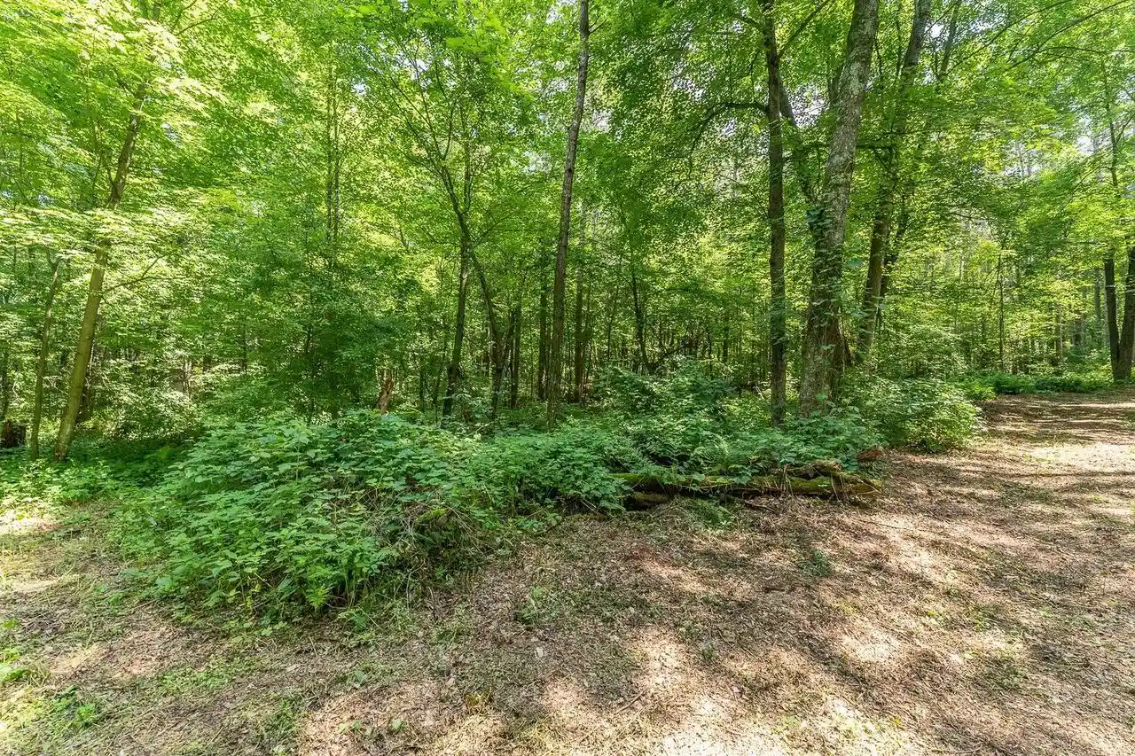 37th image of 444 Acres Trout Road Road, Wisconsin Dells, WI 53965 | MLS# 2025328