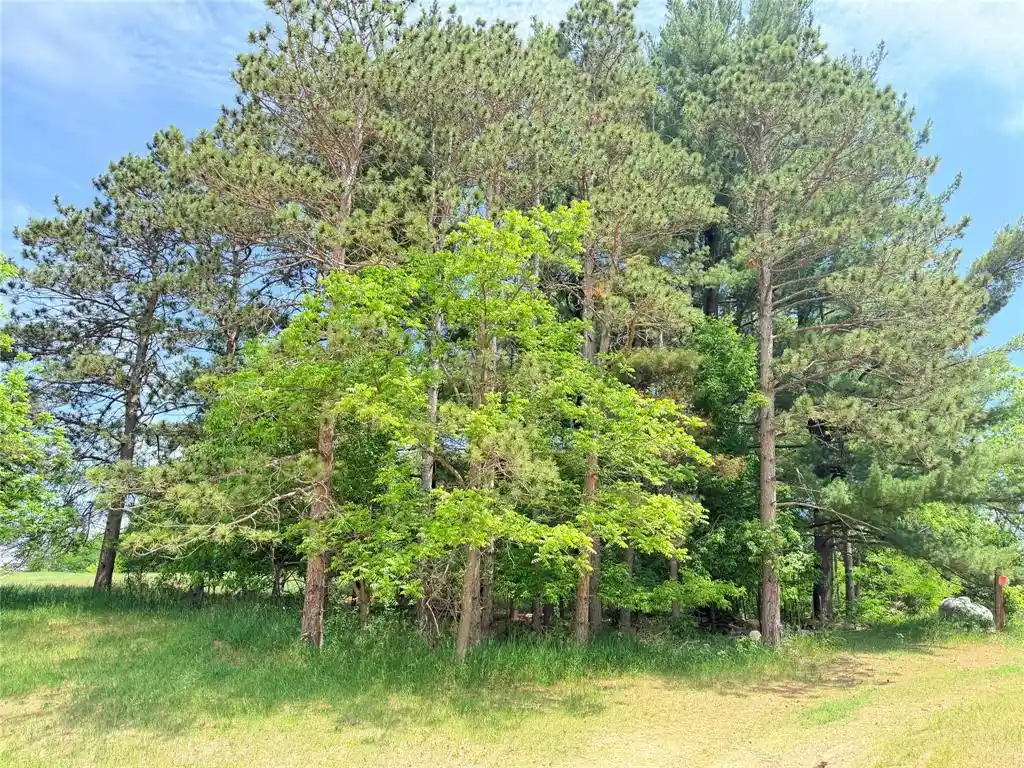 Homes for sale in Boyceville, WI | E3495 1210Th Avenue Avenue, Boyceville, WI 54725 | MLS# 1601889