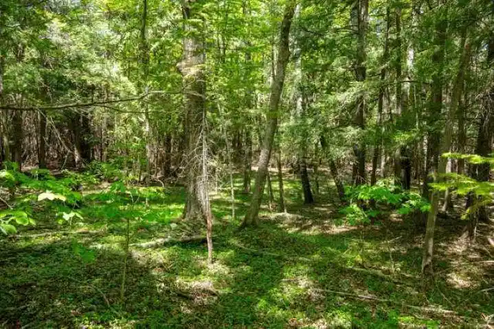 Homes for sale in Sister Bay, WI | Hwy 57, Sister Bay, WI 54234 | MLS# 50327019