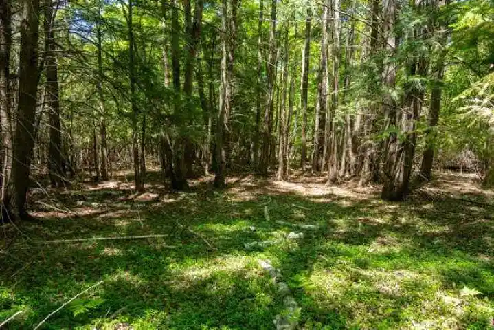 Homes for sale in Sister Bay, WI | Hwy 57, Sister Bay, WI 54234 | MLS# 50327019