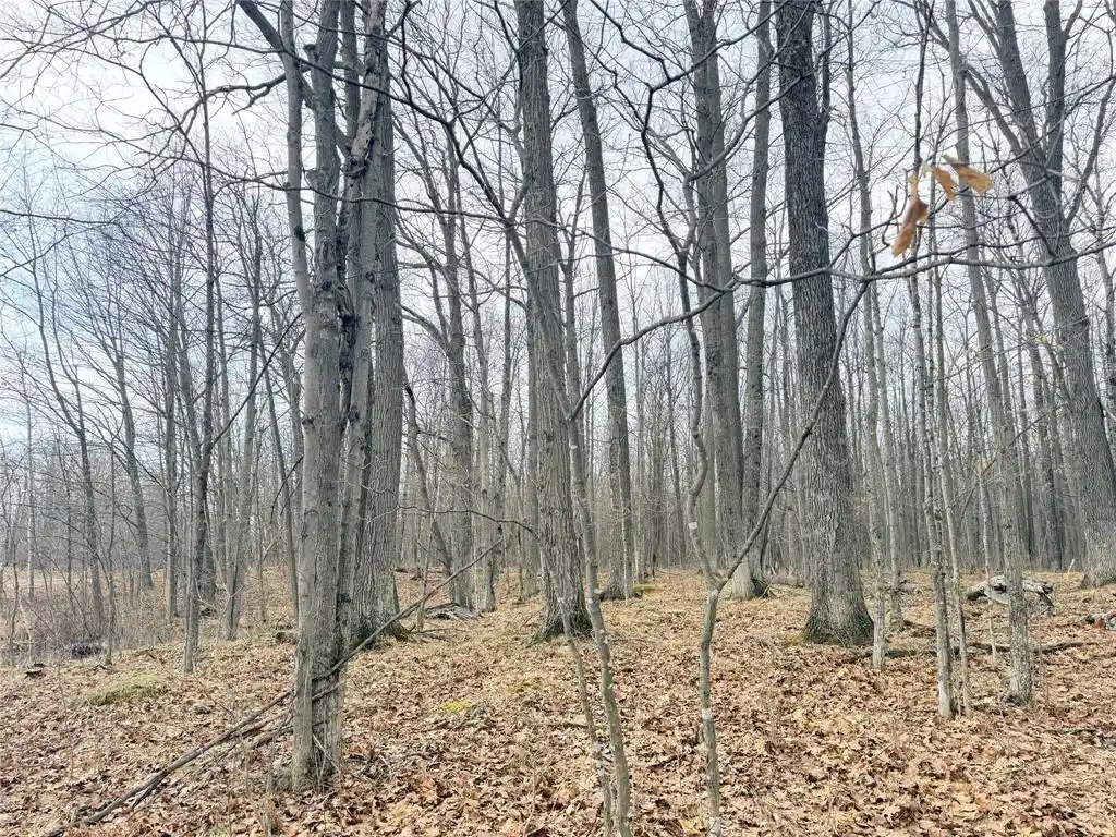 Homes for sale in Glen Flora, WI | Lot 4 Hwy X, Glen Flora, WI 54526 | MLS# 1602025
