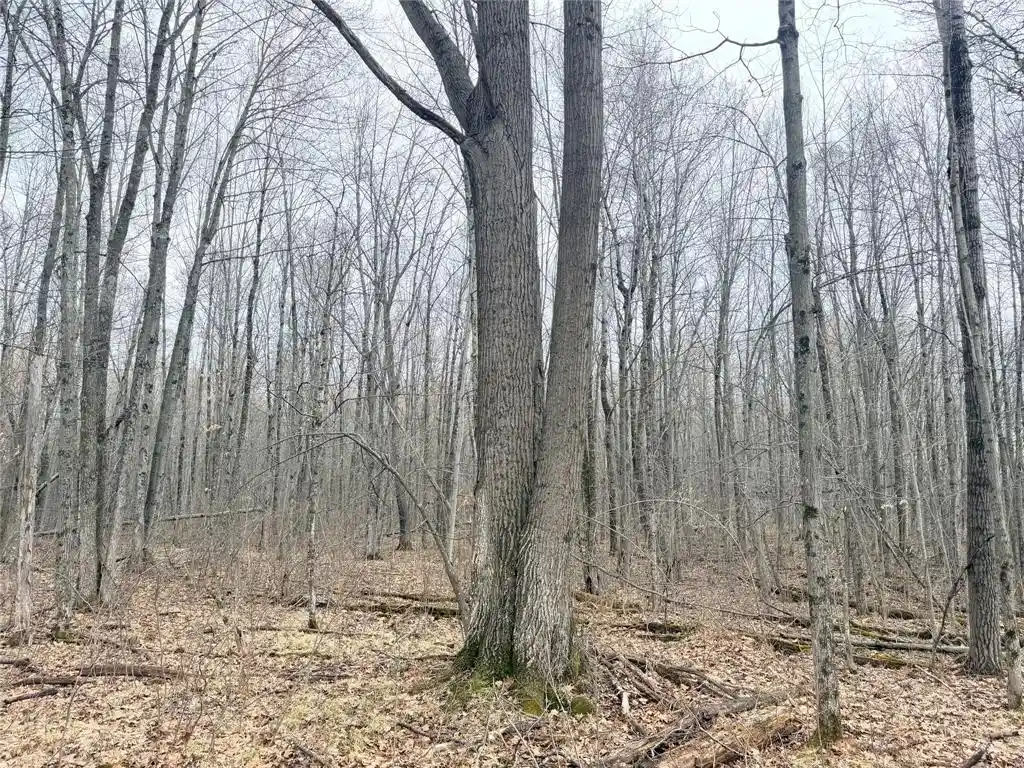 Homes for sale in Glen Flora, WI | Lot 4 Hwy X, Glen Flora, WI 54526 | MLS# 1602025