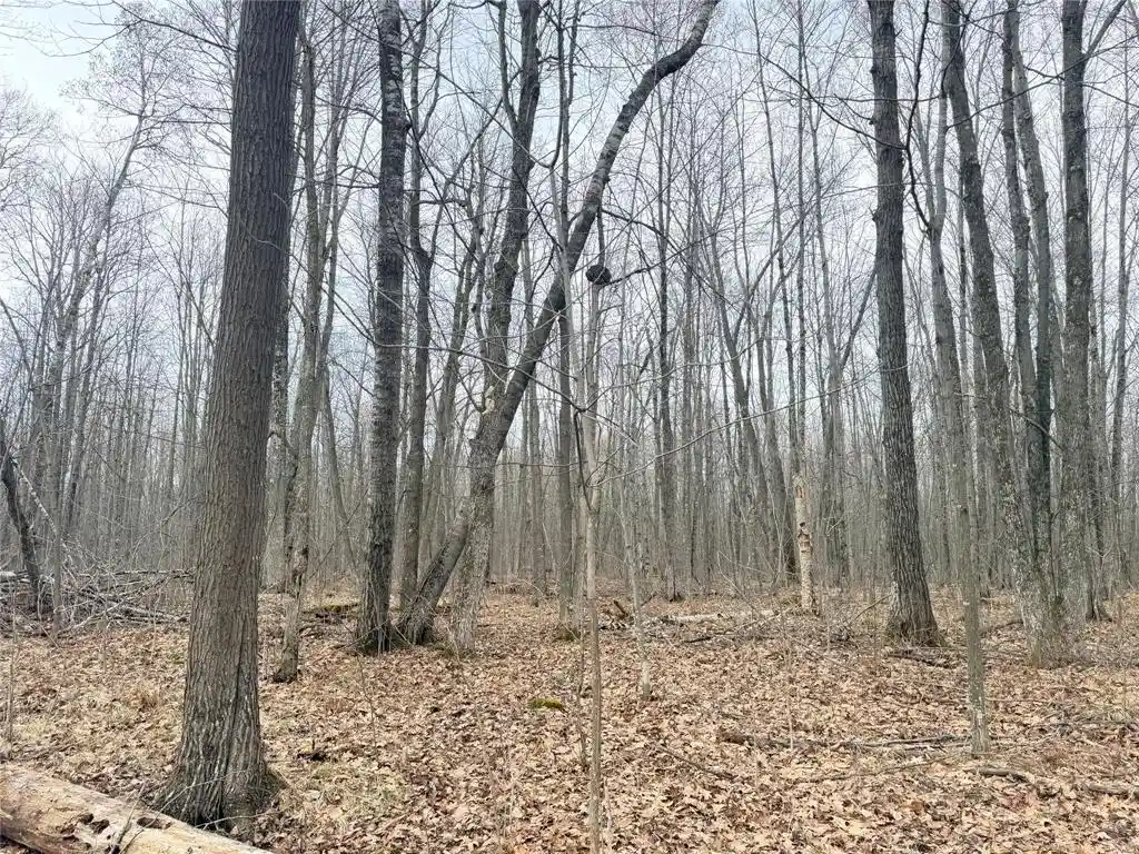 Homes for sale in Glen Flora, WI | Lot 4 Hwy X, Glen Flora, WI 54526 | MLS# 1602025