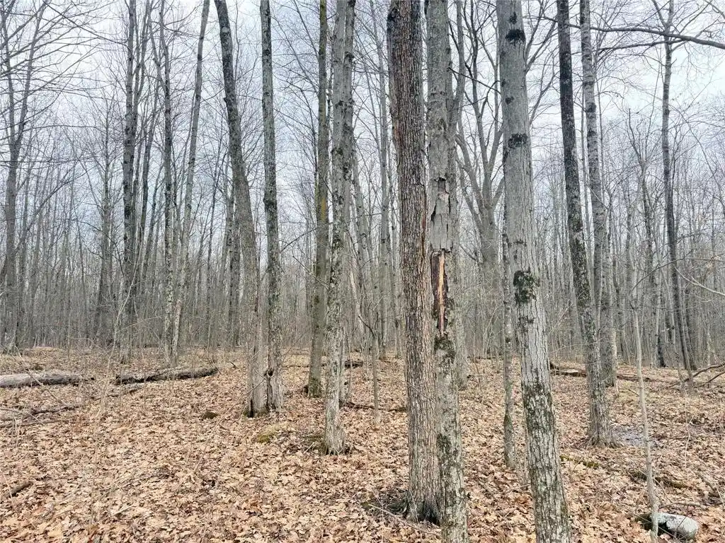 Homes for sale in Glen Flora, WI | Lot 4 Hwy X, Glen Flora, WI 54526 | MLS# 1602025