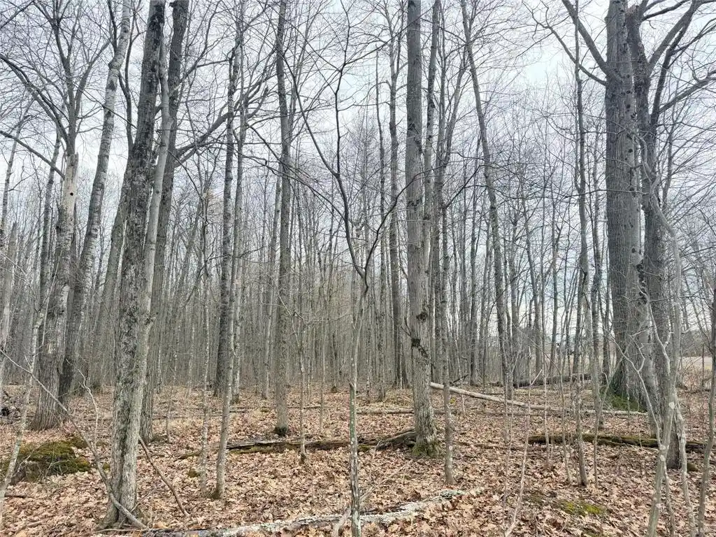Homes for sale in Glen Flora, WI | Lot 4 Hwy X, Glen Flora, WI 54526 | MLS# 1602025