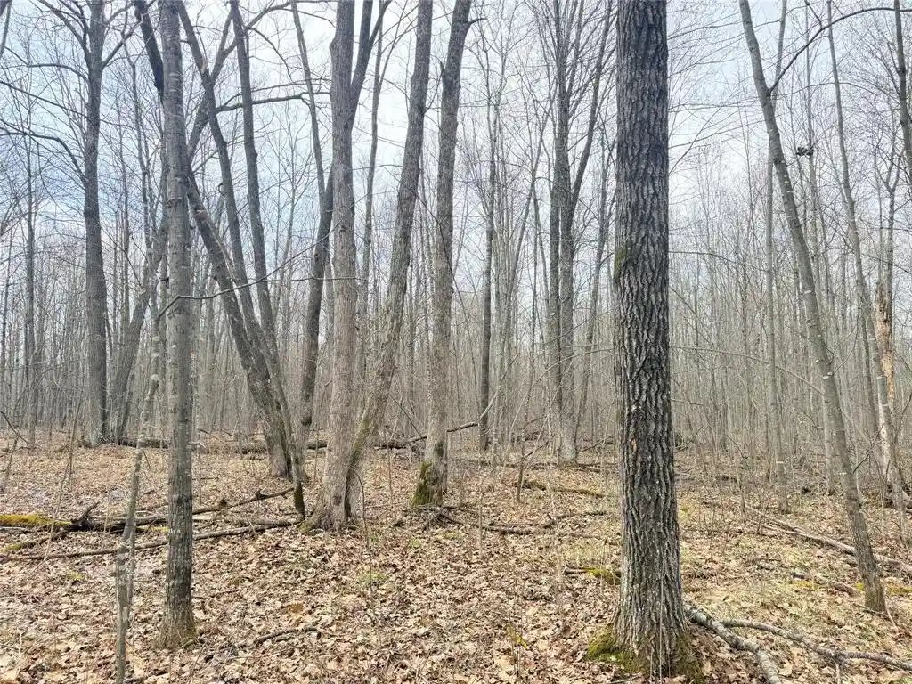 Homes for sale in Glen Flora, WI | Lot 4 Hwy X, Glen Flora, WI 54526 | MLS# 1602025