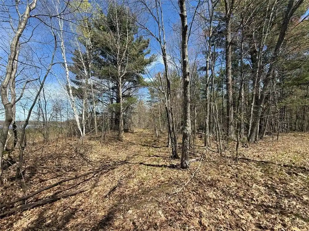 Homes for sale in Springbrook, WI | N10439 Tranus Lake Road Road, Springbrook, WI 54875 | MLS# 1602062