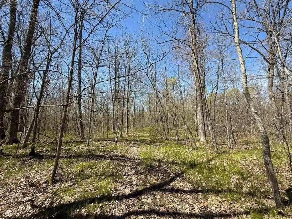 Homes for sale in Springbrook, WI | N10439 Tranus Lake Road Road, Springbrook, WI 54875 | MLS# 1602062