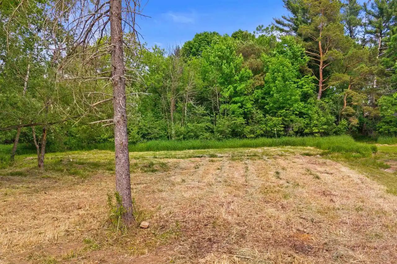 4th image of 044 Acre Lot Maple Street Street, Arpin, WI 54410 | MLS# 22602588
