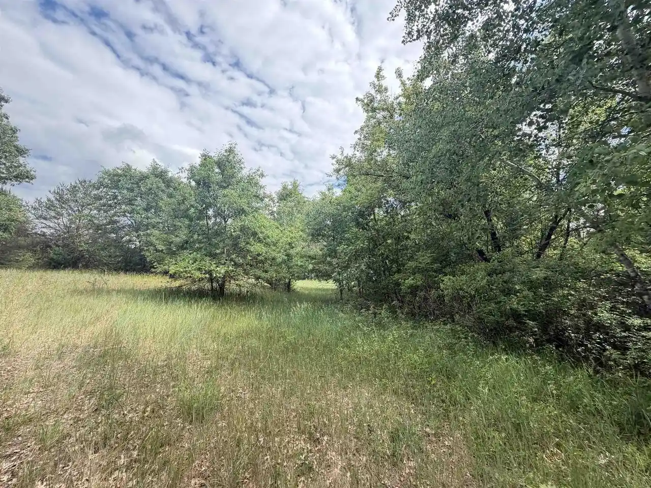 Homes for sale in Arkdale, WI | 40 Ac Czech Avenue Avenue, Arkdale, WI 54613 | MLS# 2025388