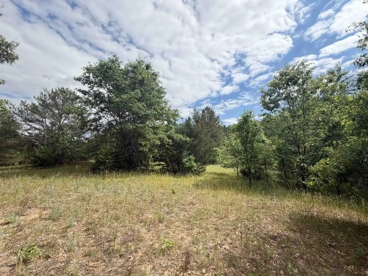 Homes for sale in Arkdale, WI | 40 Ac Czech Avenue Avenue, Arkdale, WI 54613 | MLS# 2025388