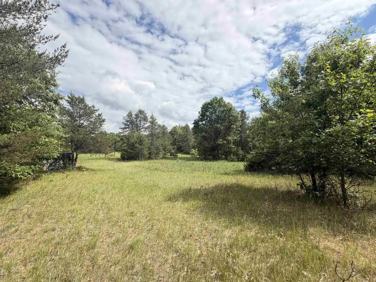 Homes for sale in Arkdale, WI | 40 Ac Czech Avenue Avenue, Arkdale, WI 54613 | MLS# 2025388