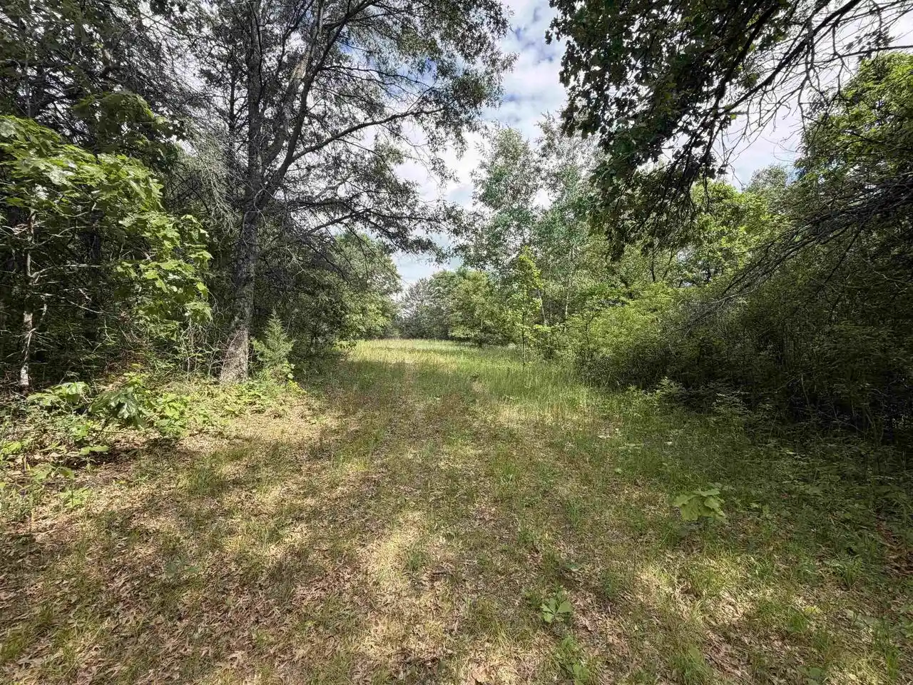 Homes for sale in Arkdale, WI | 40 Ac Czech Avenue Avenue, Arkdale, WI 54613 | MLS# 2025388