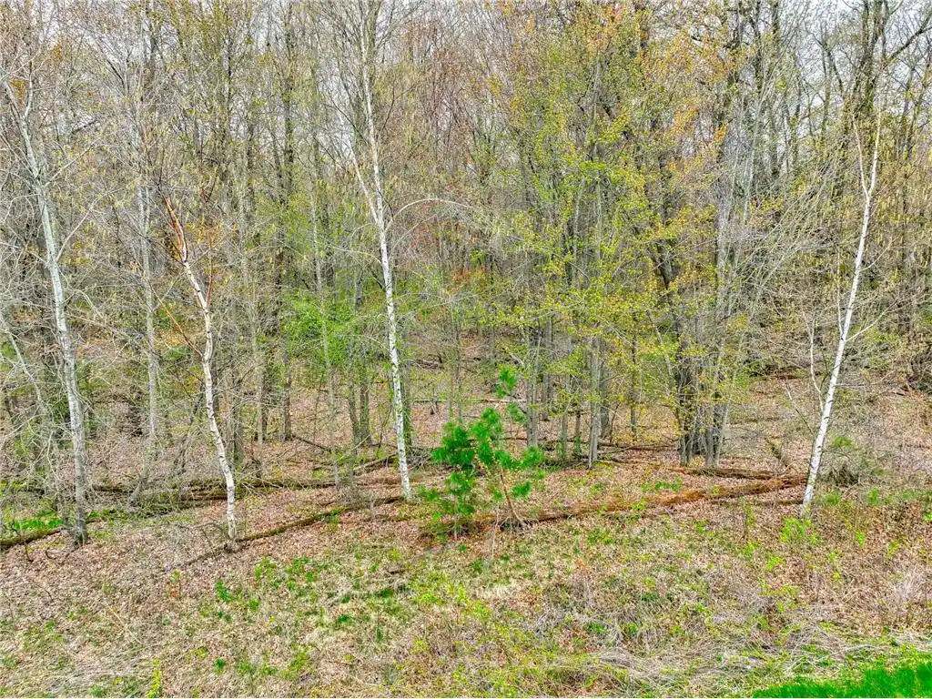 2nd image of Xxx 218th (lot 37) Avenue Avenue, Somerset, WI 54025 | MLS# 7089212