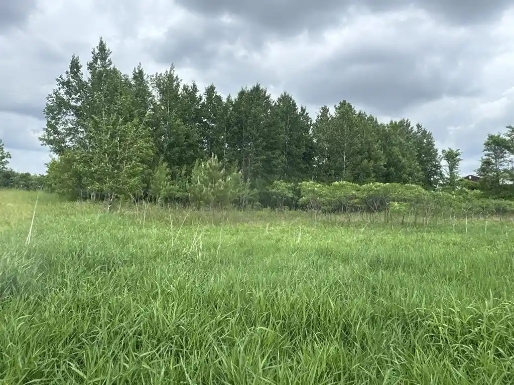 Photo 1 of Land for sale at Tbd 10 1/2 Avenue Avenue, Clayton, WI 54004 | MLS# 1602115 | Listing updated on 2026-08-24