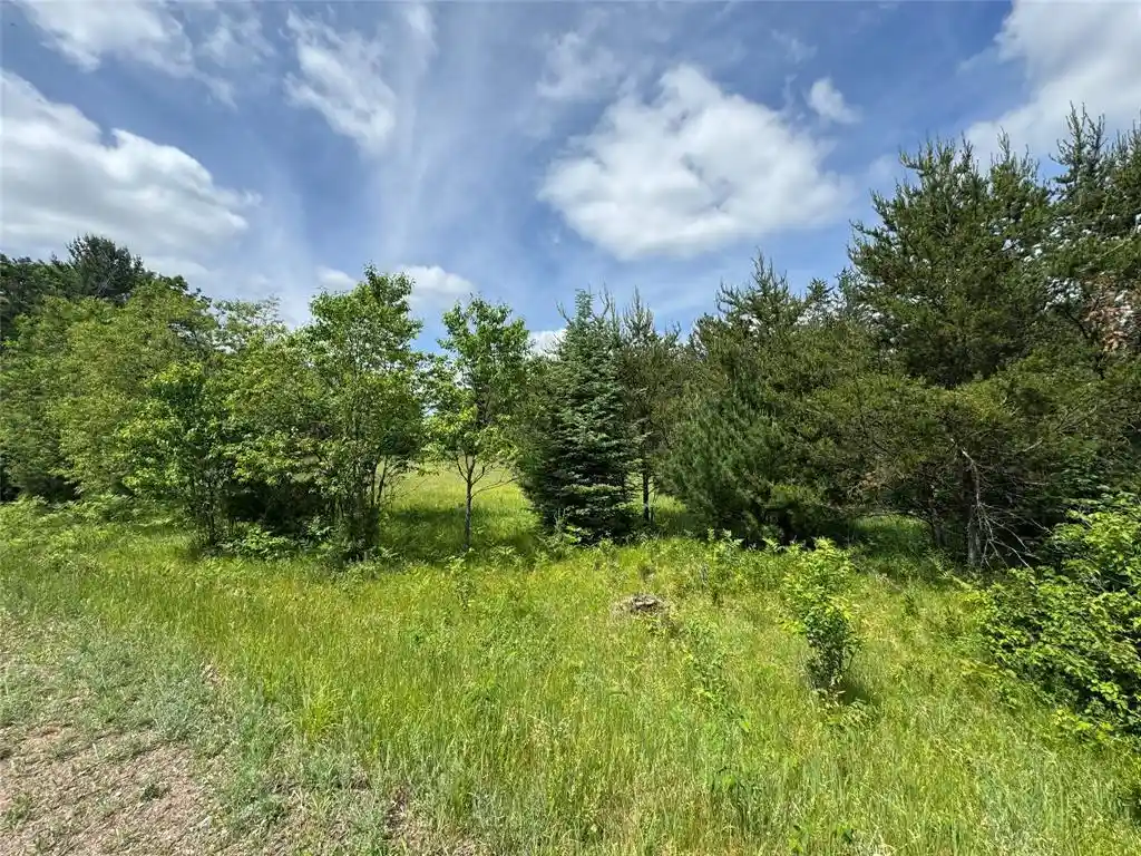 Homes for sale in Springbrook, WI | N 6398 Fred Tripp Road Road, Springbrook, WI 54875 | MLS# 1602077