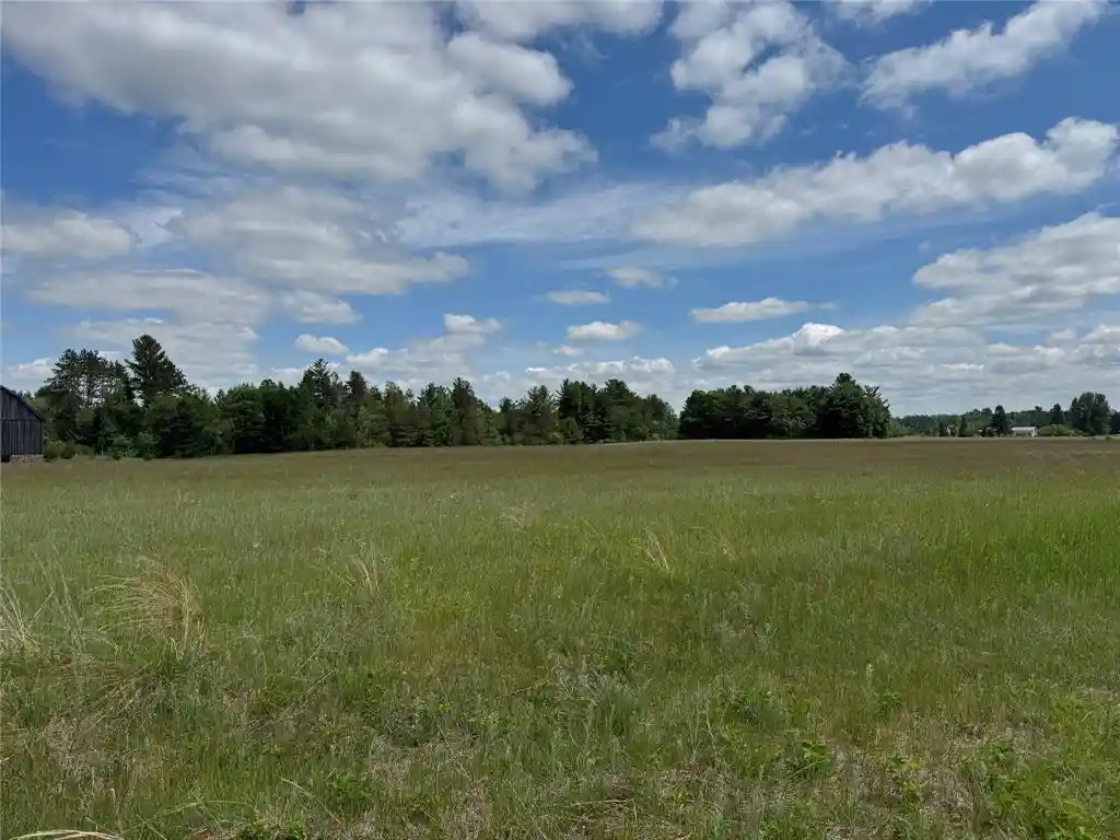 Homes for sale in Springbrook, WI | N 6398 Fred Tripp Road Road, Springbrook, WI 54875 | MLS# 1602077